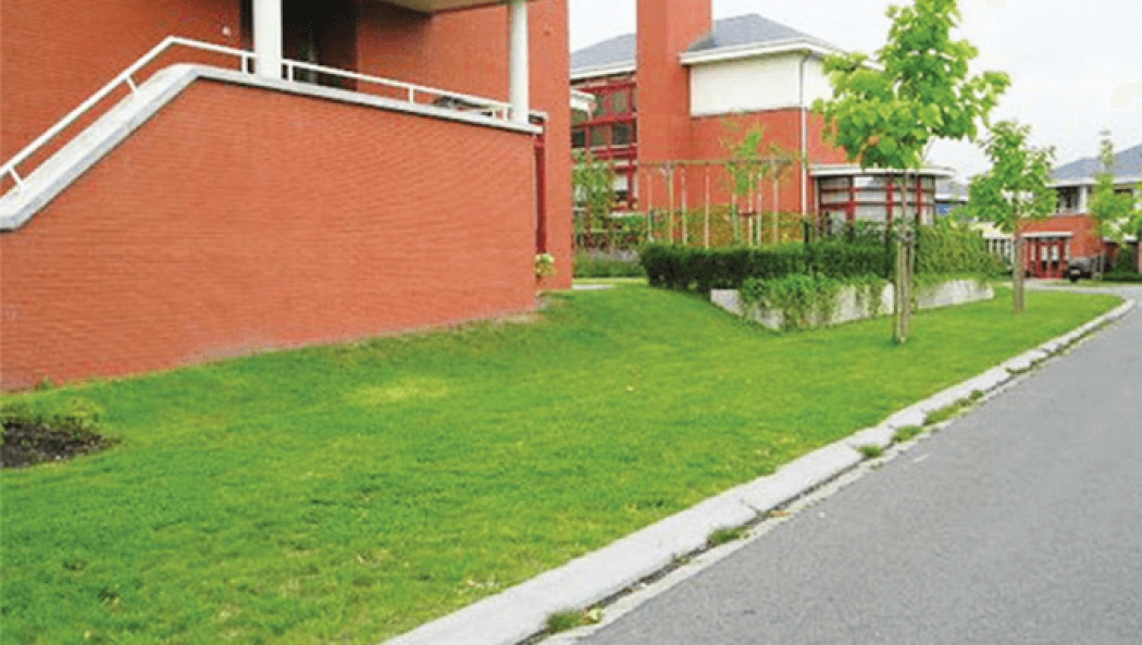 BERA® Grass Fix Eco+, la solution pour stabiliser vos espaces verts