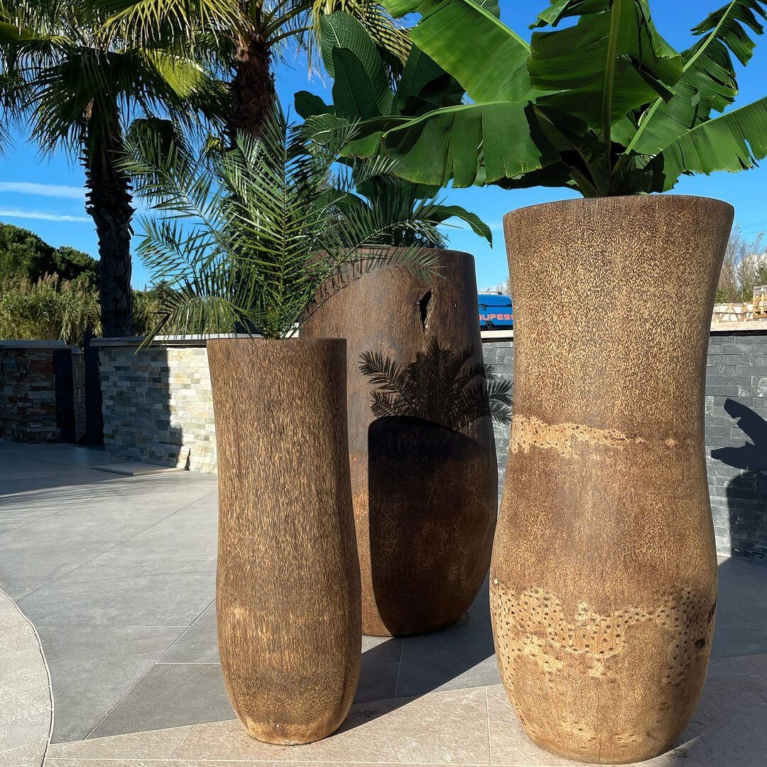 Pot de fleur en tronc naturel de cocotier, forme cylindrique