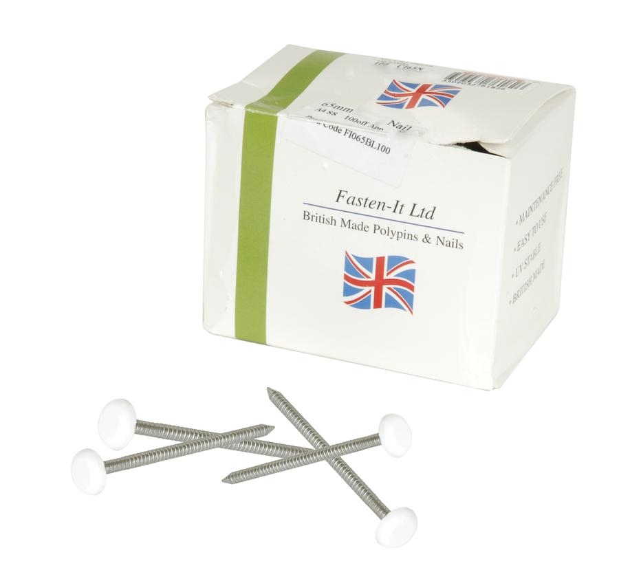 Clou inox a tête blanche pour fixation de bandeau, boite de 100 pièces