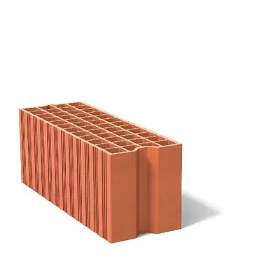 Brique de calepinage bgv 4, terre cuite, L.65 x l.20 x ep.21,9 cm
