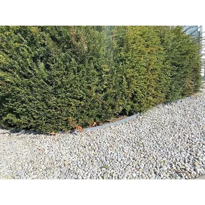 Bordure de jardin en matière recyclée, Eco Edge, hauteur 14 cm, couleur gris