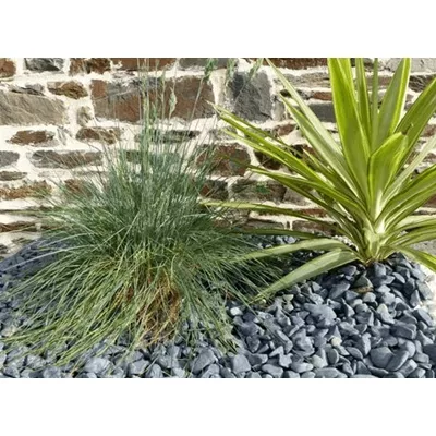 Galet noir mat 15-25 mm