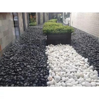 Galet noir mat 25 - 40 mm