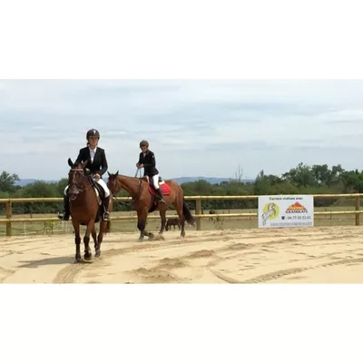Sable équestre pour carrières et manèges, vendu en vrac