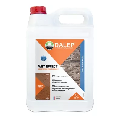 Protecteur hydrofuge spécial matériaux poreux, effet mouillé, bidon de 5 L