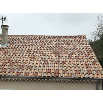 Tuile Omega 10 Vieux Toit