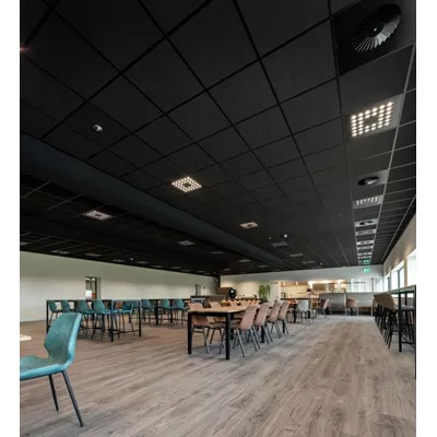 Tonga a 600x600 ep 22 mm - noir - 8.64m²