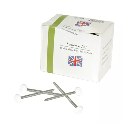 Clou inox a tête blanche pour fixation de bandeau, boite de 100 pièces