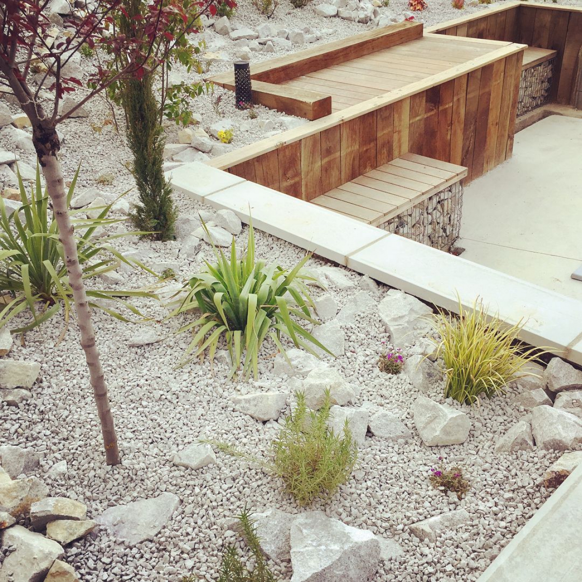 Aménagement de jardin avec gabion et chêne